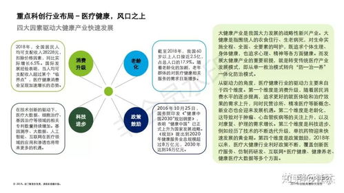 2019科創(chuàng)獨角獸研究報告 信息技術(shù)咨詢服務